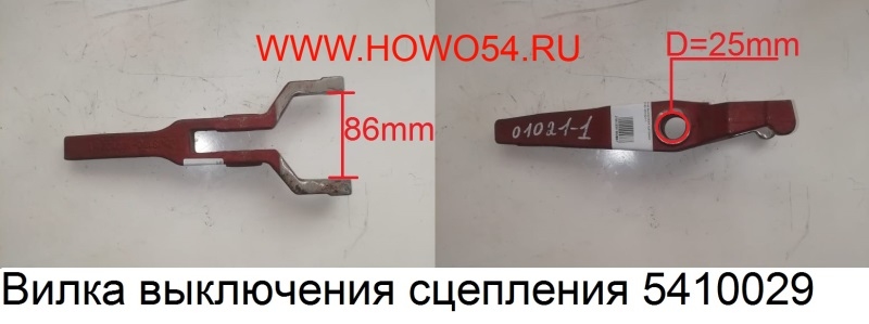 16556