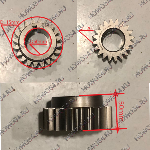 24954