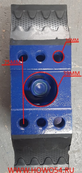 11561